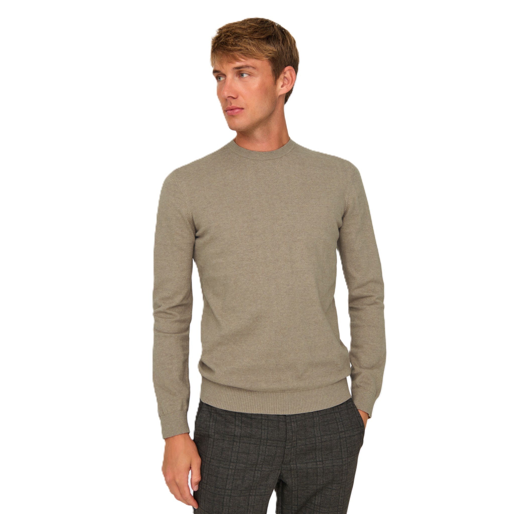 LOUI CREW KNIT
