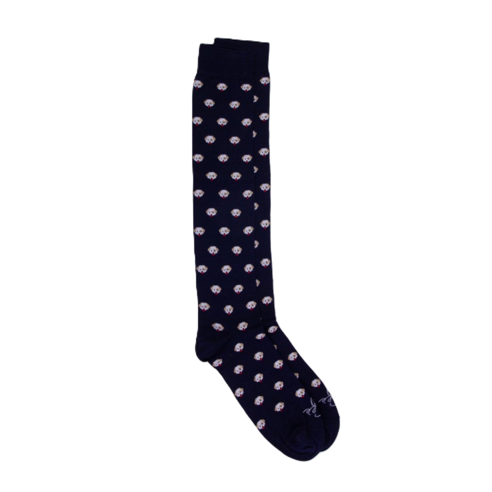 CALZINI UOMO DANDY CANE