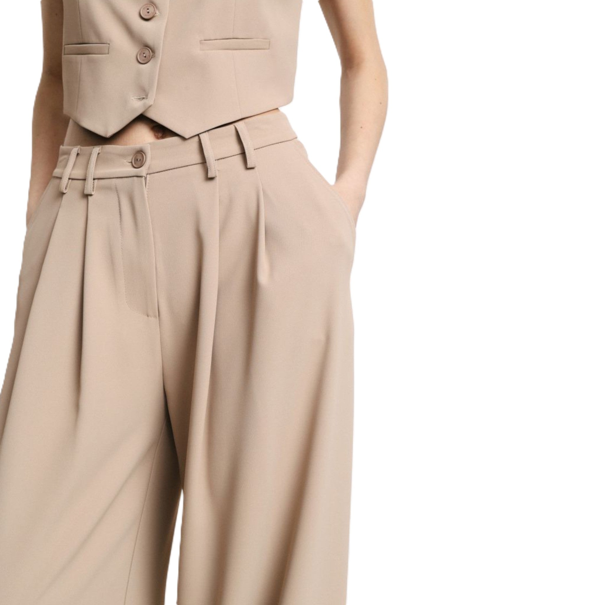 PANTALONI PALAZZON A VITA ALTA CON PINCES