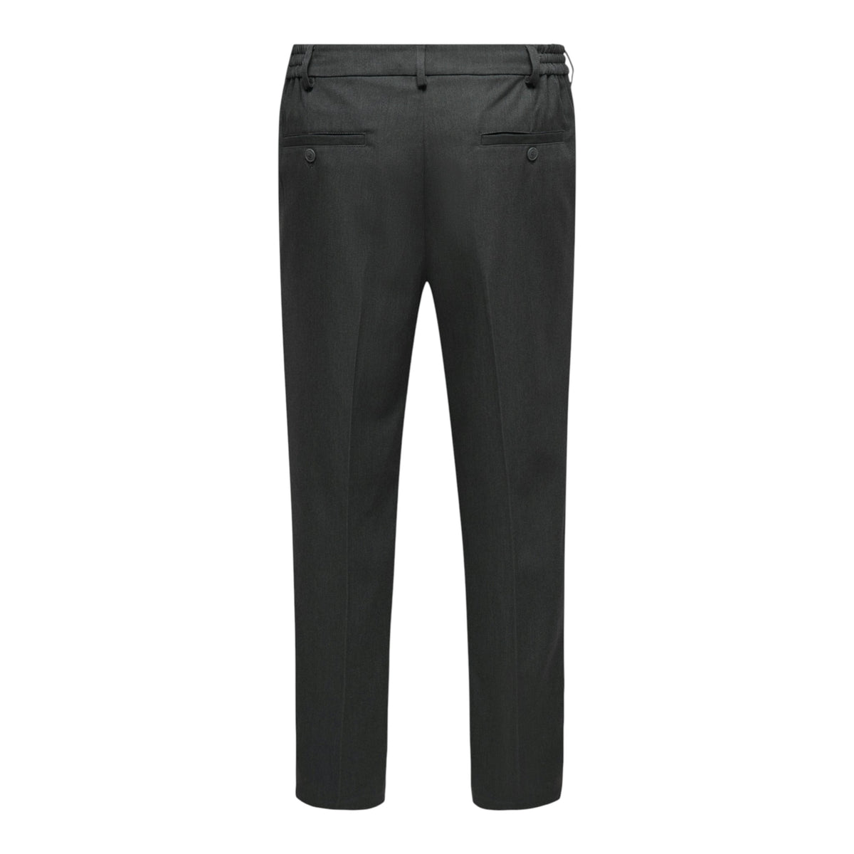 MIRO TAILORED PANT