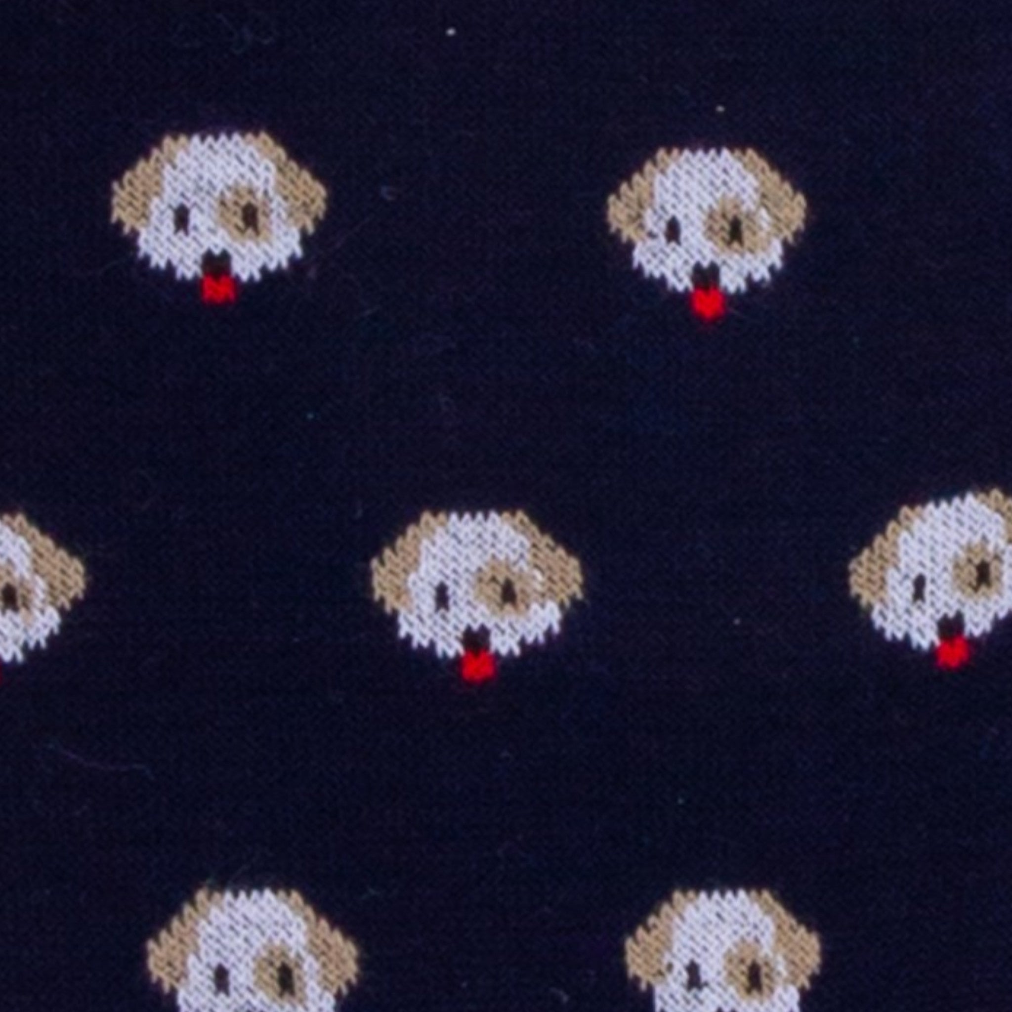 CALZINI UOMO DANDY CANE